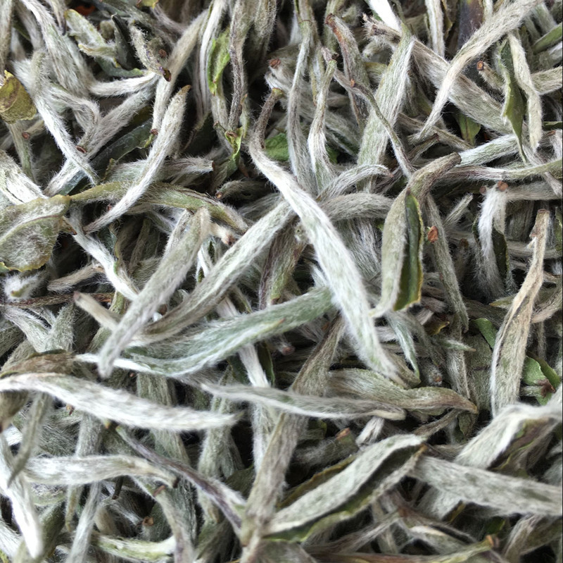 鹰潭可靠白毫银针招商(茶的分类以及茶的代表品种和产地)