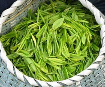 中山正规的白毫银针([闲暇品茶]第21-79期福鼎白茶2018年珍藏级白毫银针（中山益雅）)