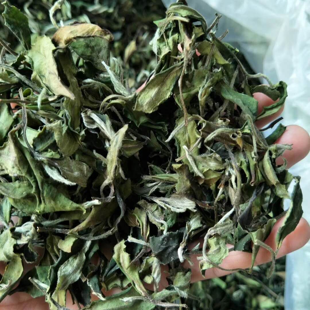 白毫银针湖南(红楼茶味之五彩茶（一）)