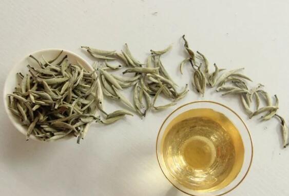 白茶古茶树(爱白茶的你，可曾喝过古树白茶？)