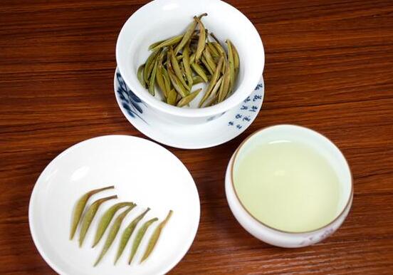 安吉白茶的黄金芽介绍(都是变异茶，安吉白茶与黄金芽有什么不同？)