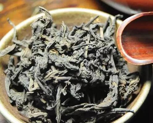 黑茶出现黄菌(黑茶上有黄霉点能喝吗？如何辨别真假金花？)