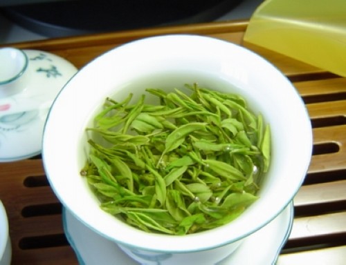 我要看竹叶青(早一天是宝，晚一天是草，来自峨眉山的竹叶青因何更鲜爽？)