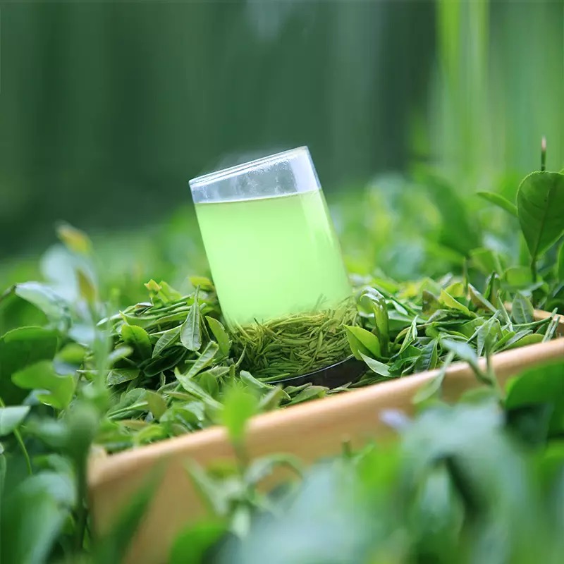 碧螺春几芽(碧螺春可以分哪些等级？以后买茶时可以借鉴借鉴)