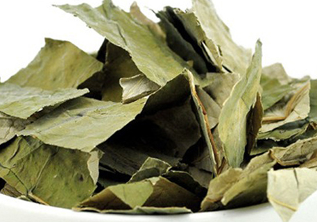 绞股蓝山楂茶功效(消暑祛湿，试试中药茶饮绞股蓝山楂茶，尤其适合痰湿、肥胖、血脂偏高者饮用)