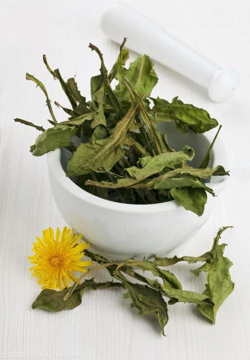 人参肾茶怎么喝(养生茶，你喝对了没？)